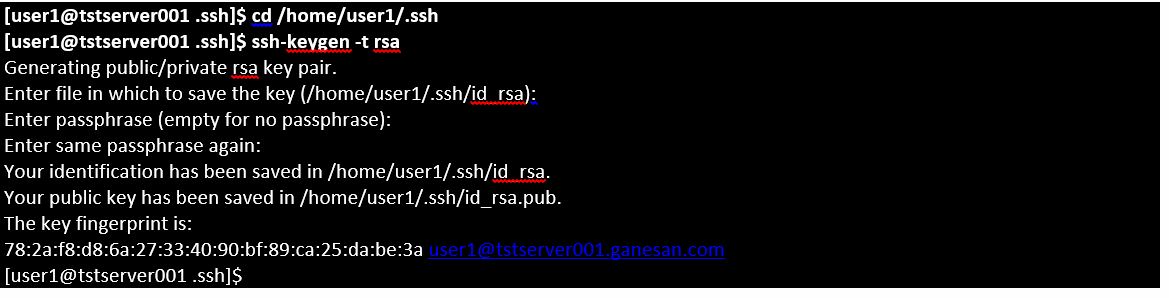 ssh2.jpg