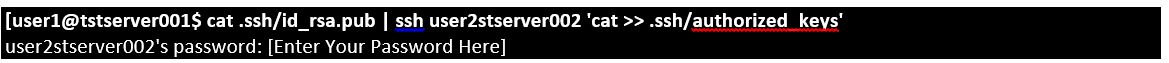 ssh4.jpg