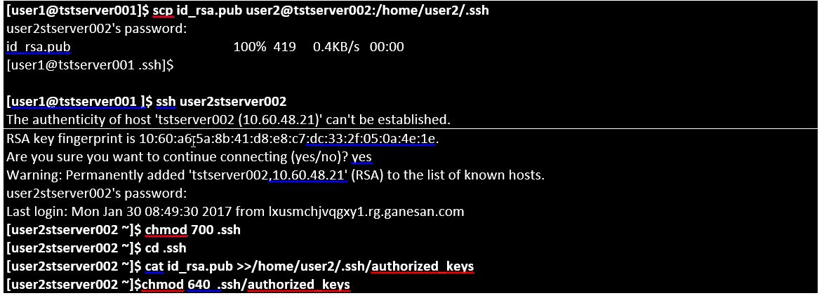 ssh6.jpg